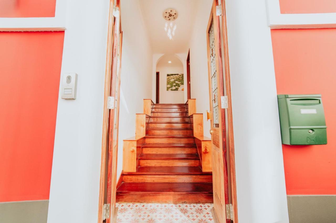Casa Strelitzia Apartment Funchal  Ngoại thất bức ảnh